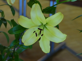 Foto: Dr. Peter Müller